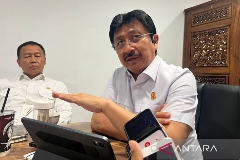 Kemenhub: Bandara Tetap Beroperasi Meski Karhutla, Hanya Ada Penyesuaian Jadwal